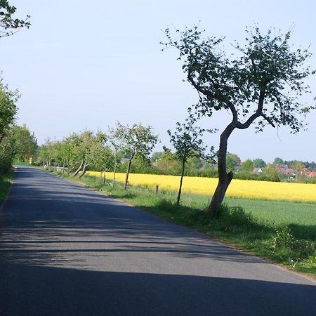 Ferienwohnung Im Gruenen - Hof Blohme Langwedel  Extérieur photo