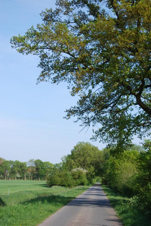 Ferienwohnung Im Gruenen - Hof Blohme Langwedel  Extérieur photo
