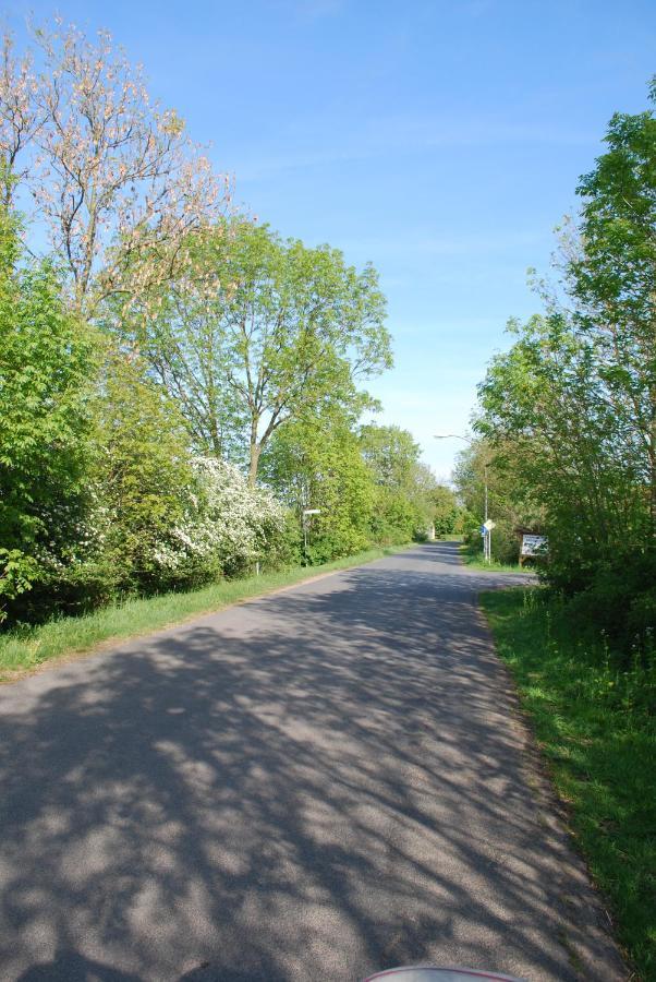 Ferienwohnung Im Gruenen - Hof Blohme Langwedel  Extérieur photo